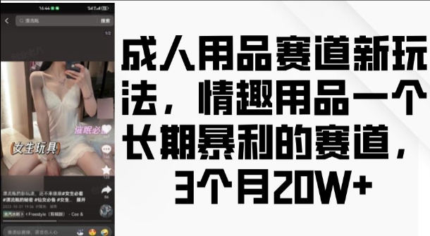 成人用品赛道新玩法，情趣用品一个长期暴利的赛道，3个月收益20个【揭秘】-小柒笔记