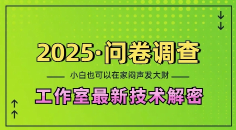 2025问卷调查最新工作室技术解密：一个人在家也可以闷声发大财，小白一天2张，可矩阵放大【揭秘】-小柒笔记