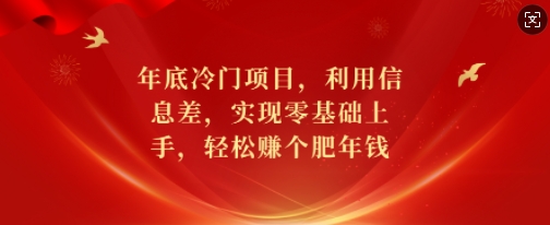 年底冷门项目，利用信息差，实现零基础上手，轻松赚个肥年钱【揭秘】-小柒笔记