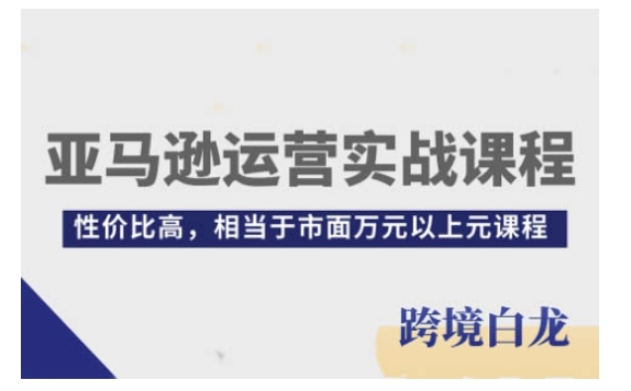 亚马逊运营实战课程，亚马逊从入门到精通，性价比高，相当于市面万元以上元课程-小柒笔记