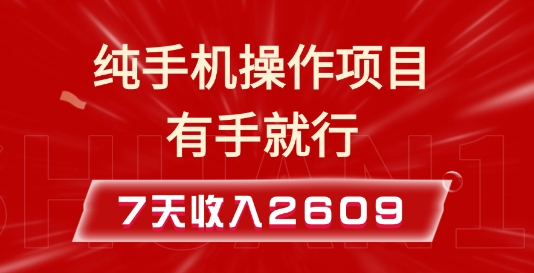 纯手机操作的小项目，有手就能做，7天收入2609+实操教程【揭秘】-小柒笔记