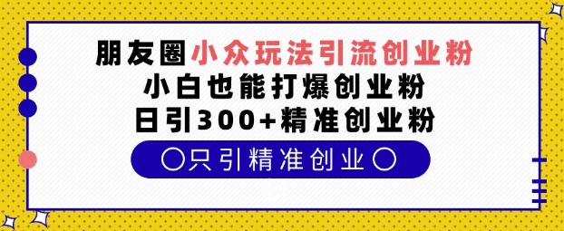 朋友圈小众玩法引流创业粉，小白也能打爆创业粉，日引300+精准创业粉【揭秘】-小柒笔记