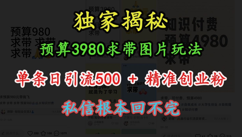 预算3980求带 图片玩法，单条日引流500+精准创业粉，私信根本回不完-小柒笔记