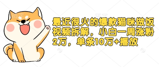 最近很火的爆款猫咪做饭视频拆解，小白一周涨粉2万，单条10万+播放(附保姆级教程)-小柒笔记