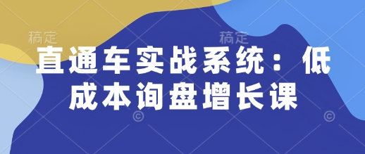 直通车实战系统：低成本询盘增长课，让个人通过技能实现升职加薪，让企业低成本获客，订单源源不断-小柒笔记