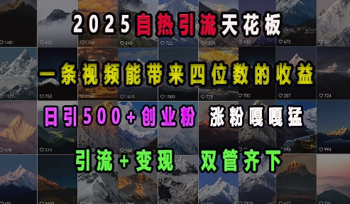 2025自热引流天花板，一条视频能带来四位数的收益，引流+变现双管齐下，日引500+创业粉，涨粉嘎嘎猛-小柒笔记