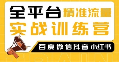 全平台精准流量实战训练营，百度微信抖音小红书SEO引流教程-小柒笔记