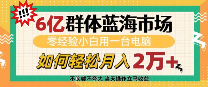 6亿群体蓝海市场，零经验小白用一台电脑，如何轻松月入过w【揭秘】-小柒笔记