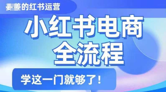 小红书电商全流程，精简易懂，从入门到精通，学这一门就够了-小柒笔记